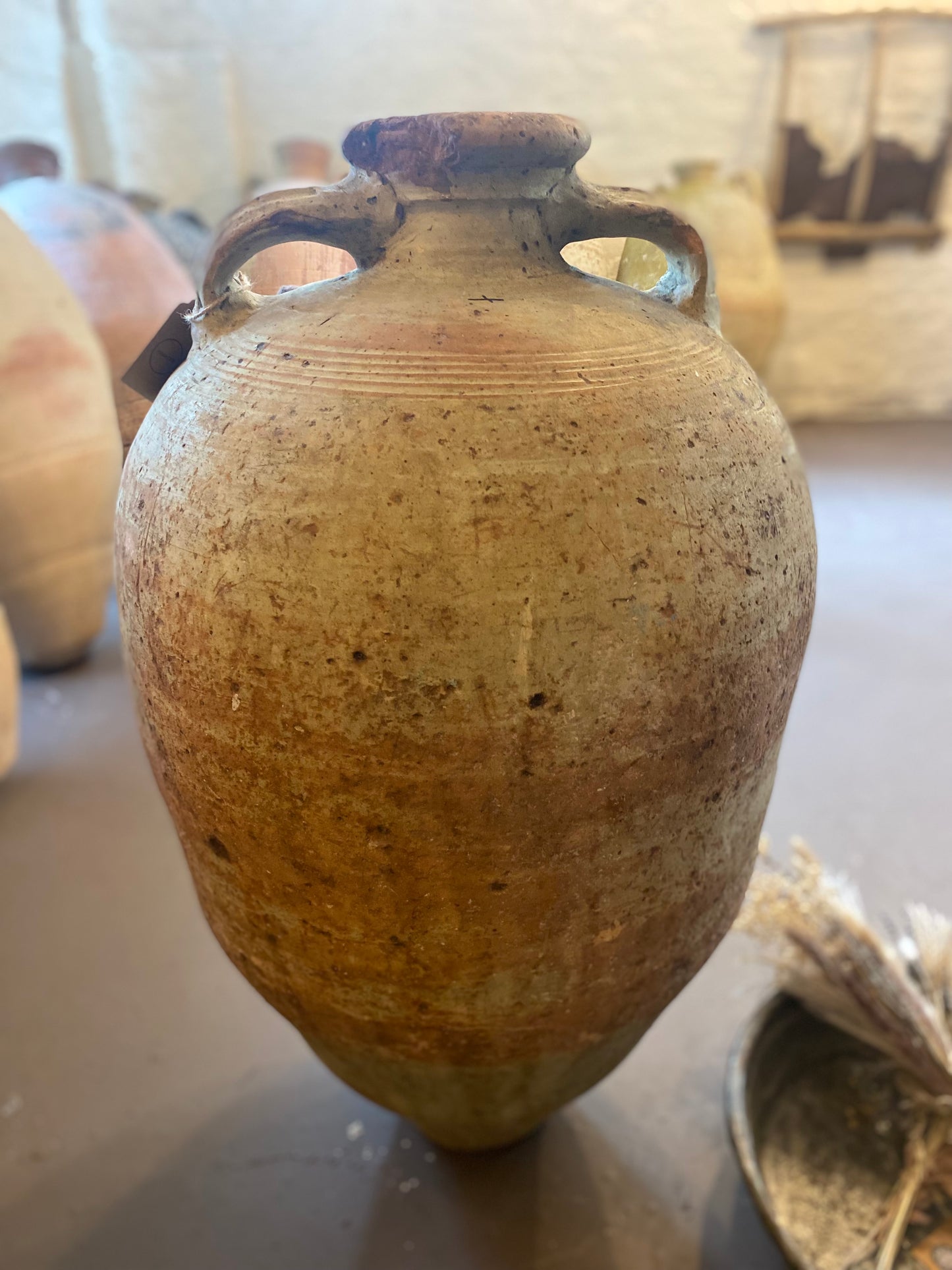 Tommy – 19th Century Tunisian Olive Pot