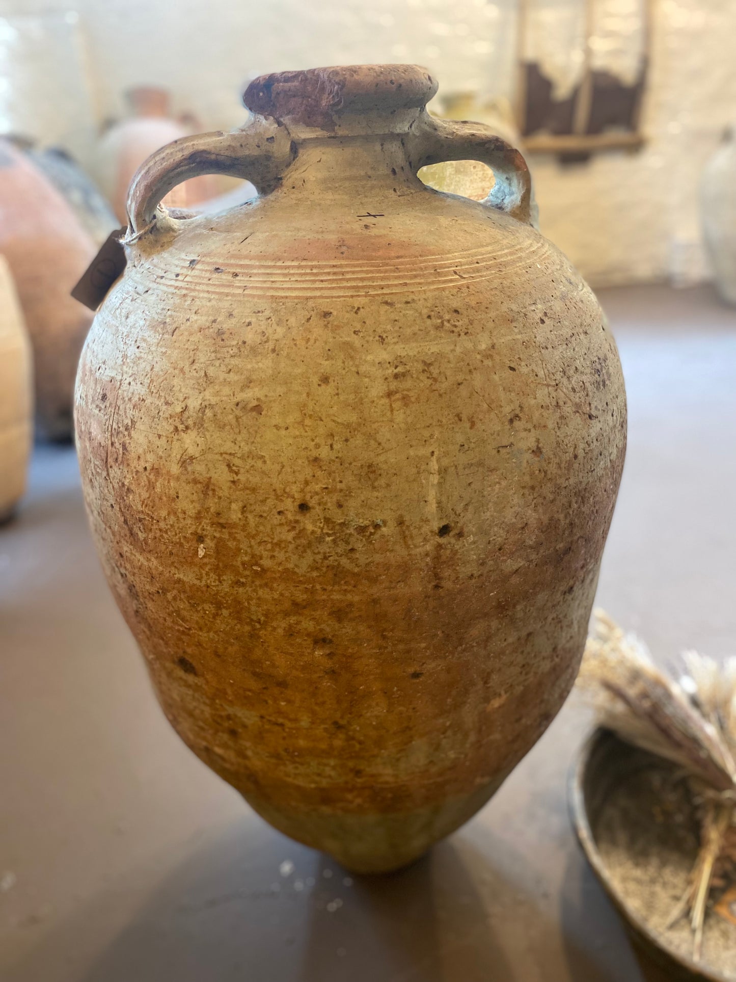 Tommy – 19th Century Tunisian Olive Pot