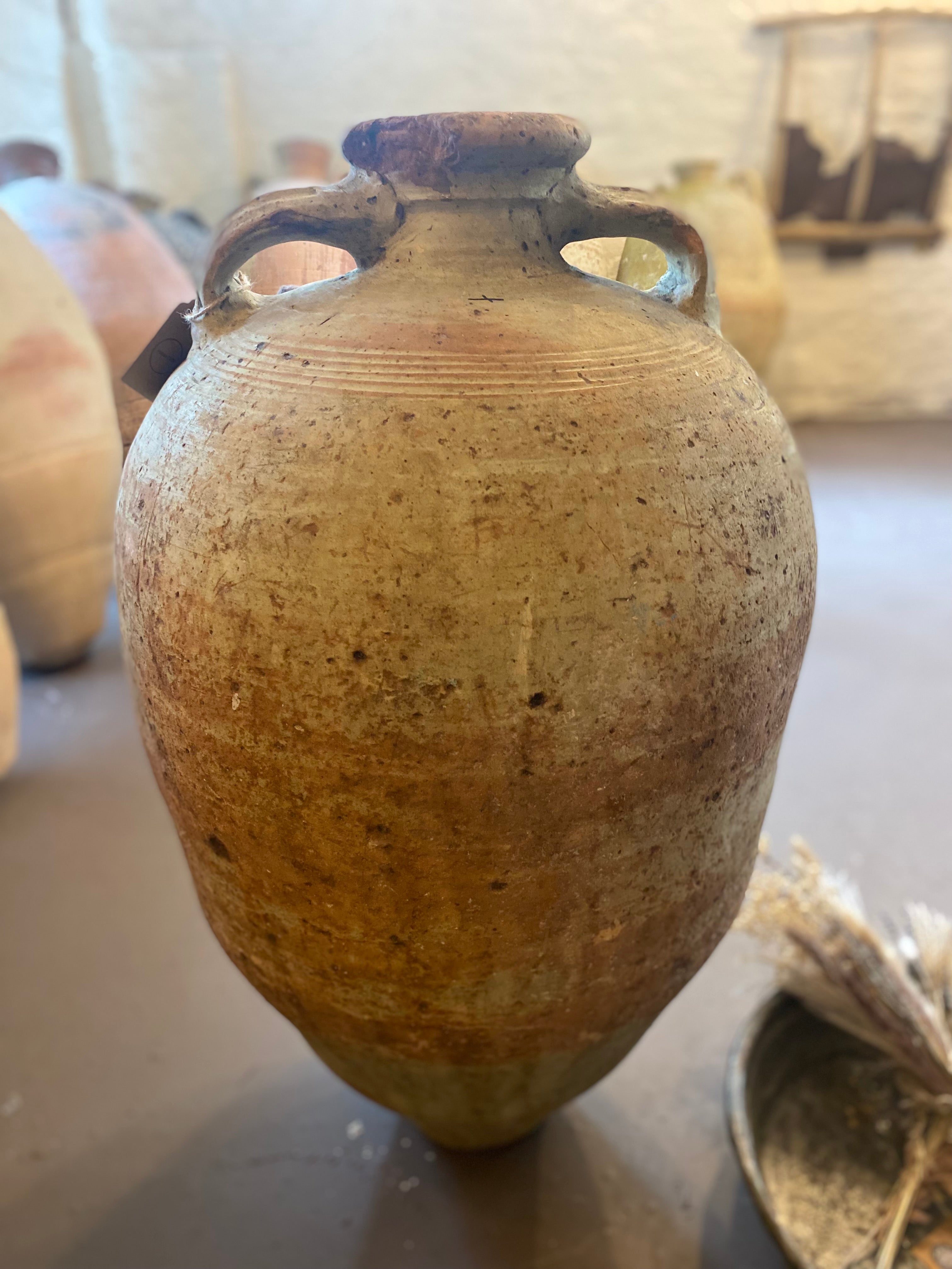 Tommy – 19th Century Tunisian Olive Pot