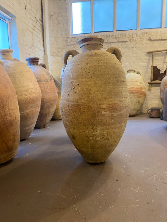 Barbs– 19th Century Tunisian Olive Pot