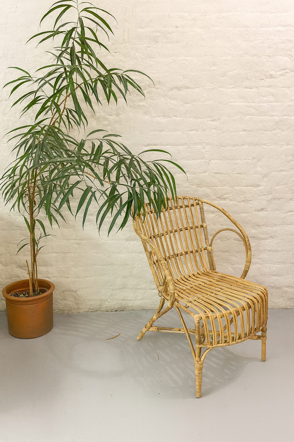 Rattan Chair by Nkuku