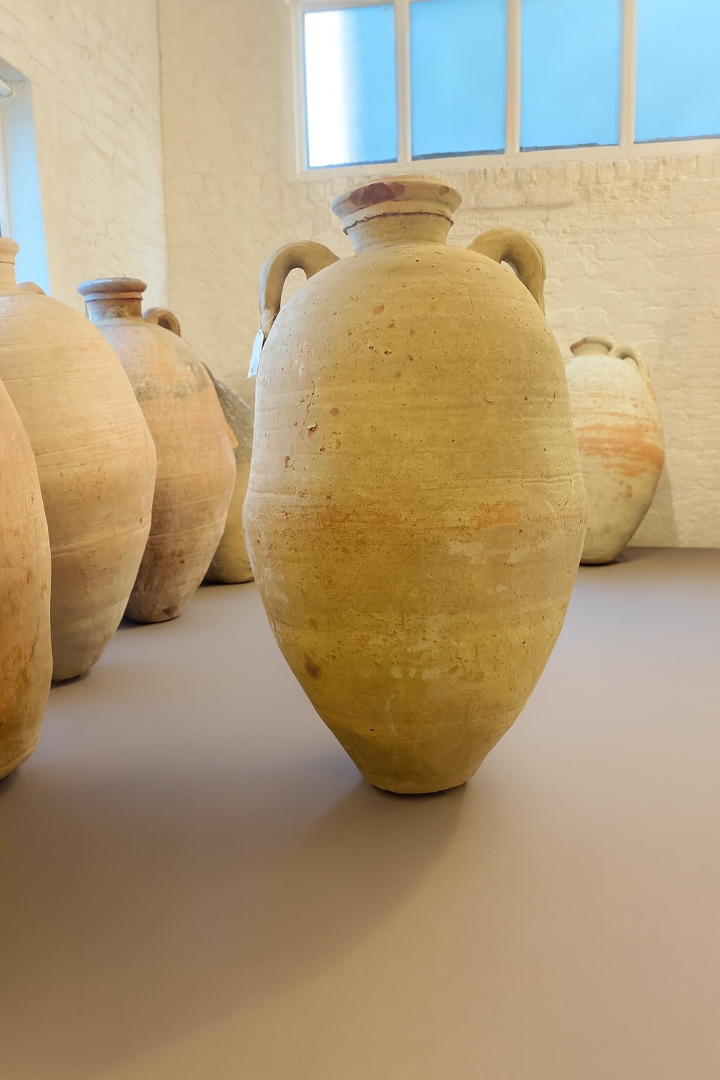 Barbs– 19th Century Tunisian Olive Pot